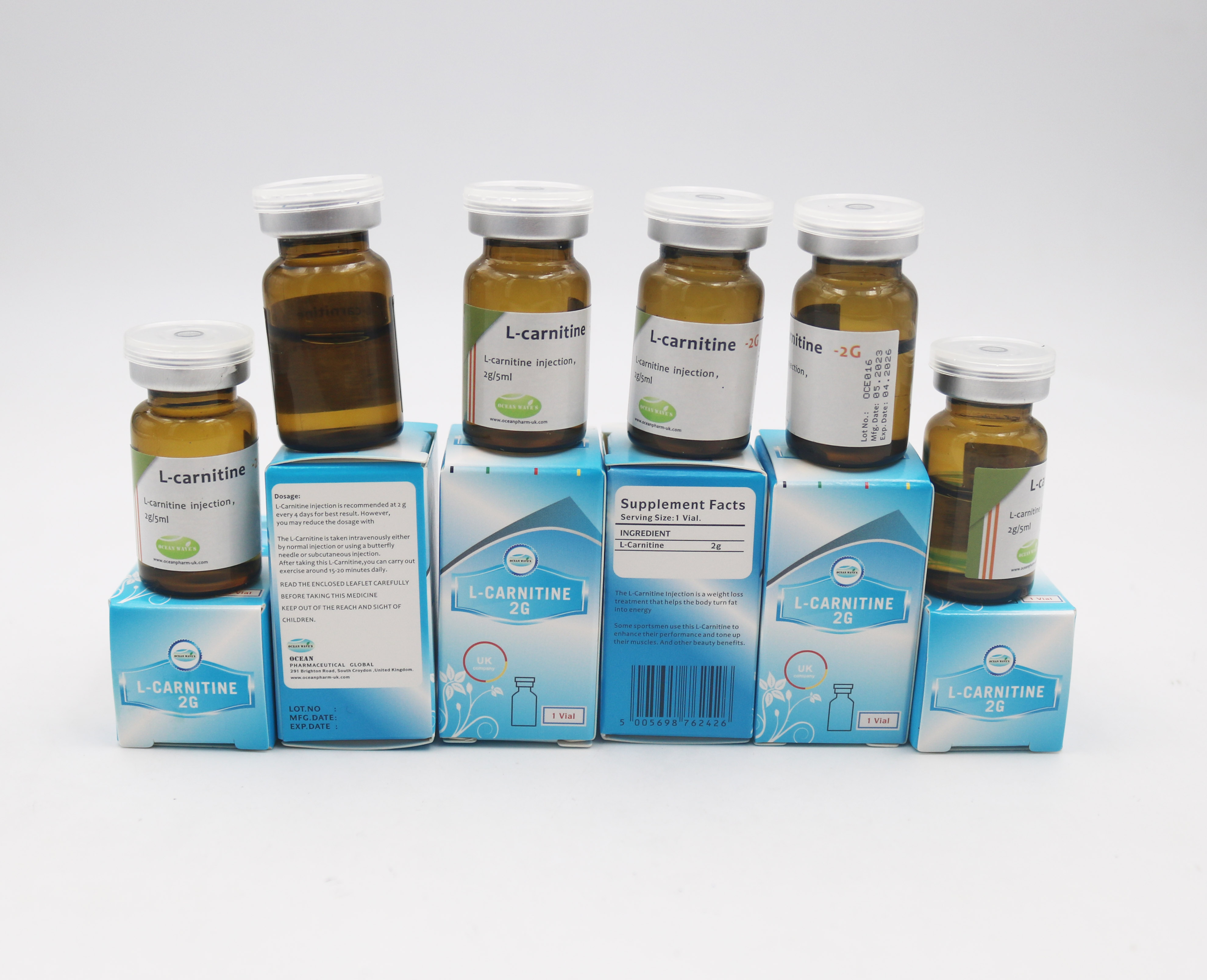 L-carnitine injection 2g