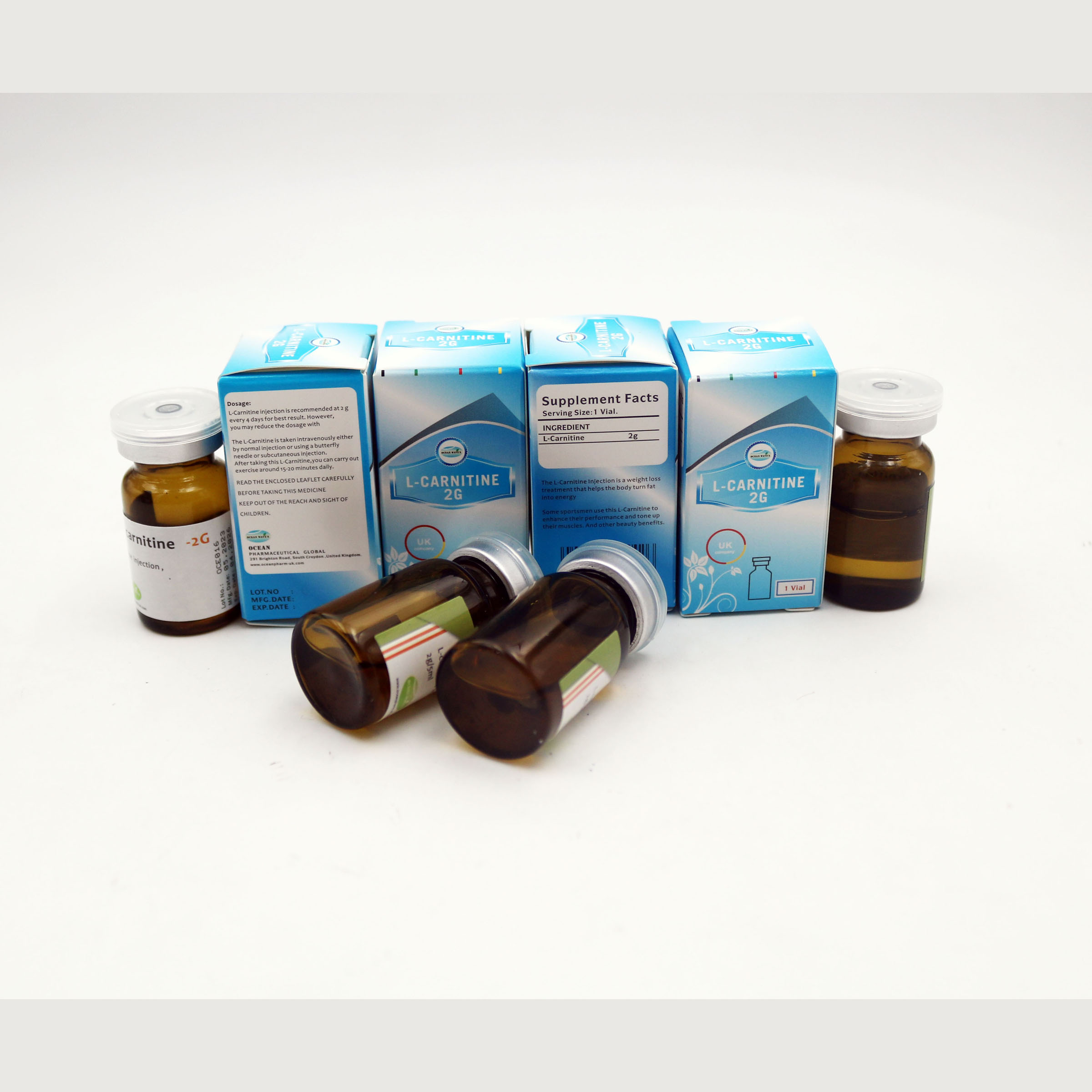 L-carnitine injection 2g
